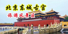鸡巴插菊花视频中国北京-东城古宫旅游风景区